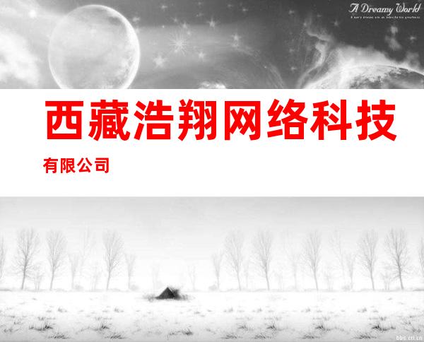 西藏浩翔网络科技有限公司