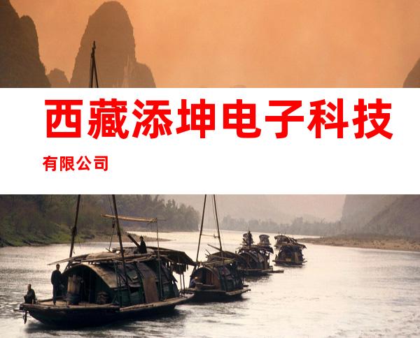 西藏添坤电子科技有限公司
