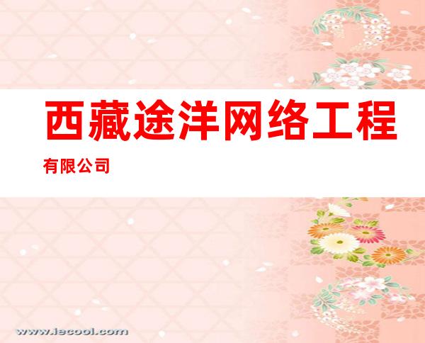 西藏途洋网络工程有限公司