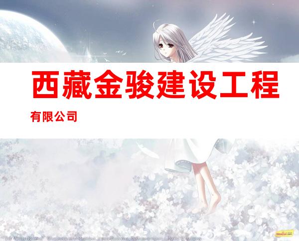 西藏金骏建设工程有限公司