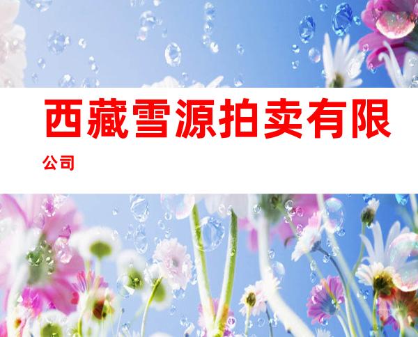 西藏雪源拍卖有限公司