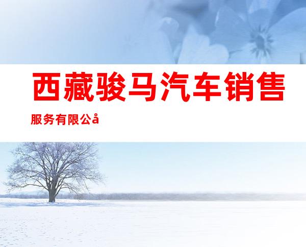 西藏骏马汽车销售服务有限公司