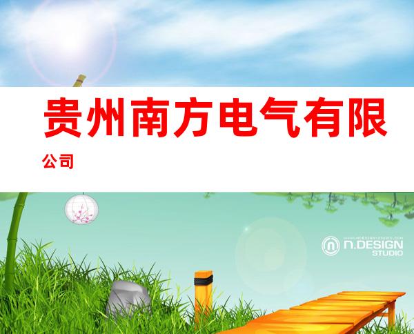 贵州南方电气有限公司