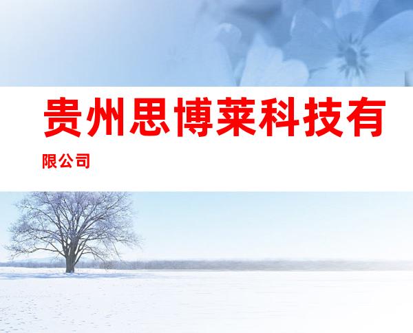贵州思博莱科技有限公司