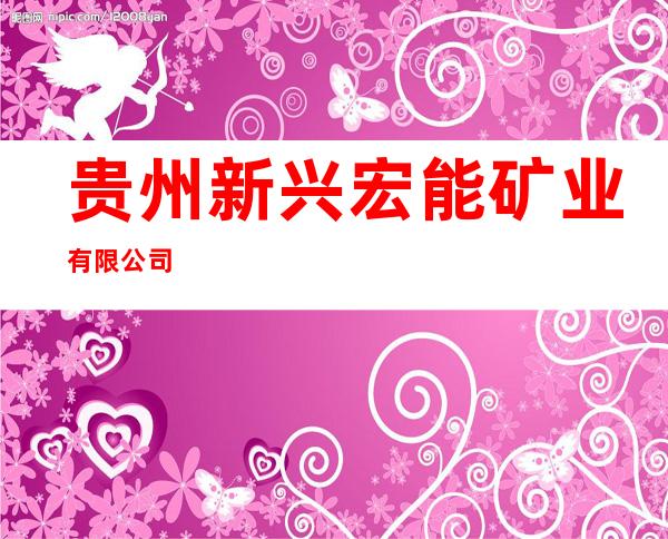 贵州新兴宏能矿业有限公司