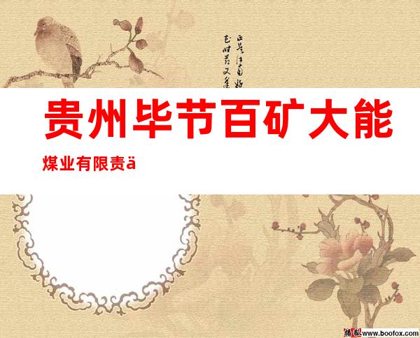 贵州毕节百矿大能煤业有限责任公司
