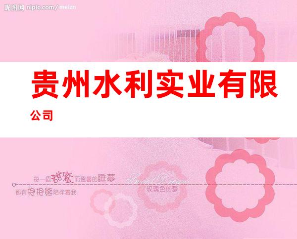 贵州水利实业有限公司