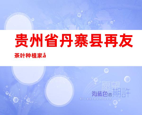 贵州省丹寨县再友茶叶种植家庭农场