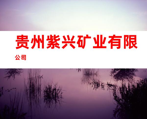 贵州紫兴矿业有限公司