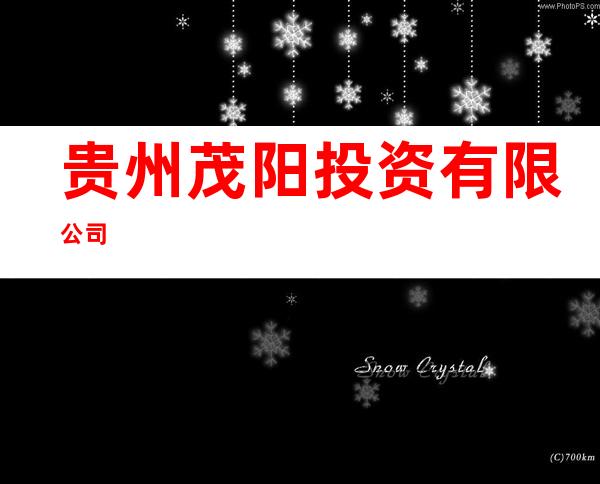 贵州茂阳投资有限公司