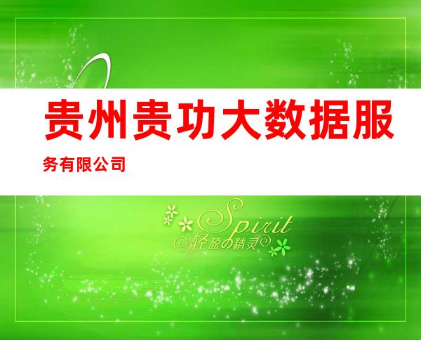 贵州贵功大数据服务有限公司