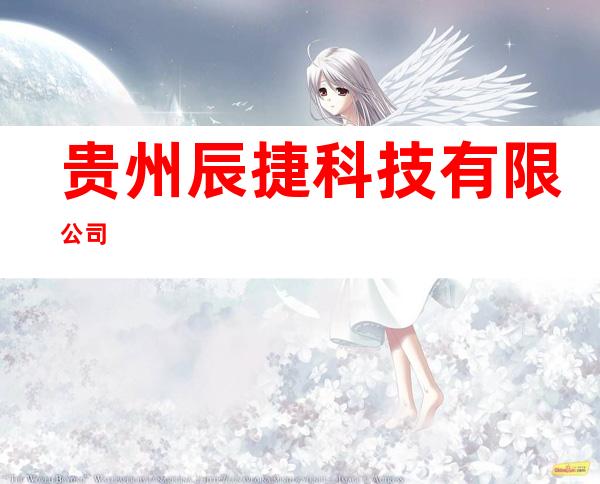 贵州辰捷科技有限公司