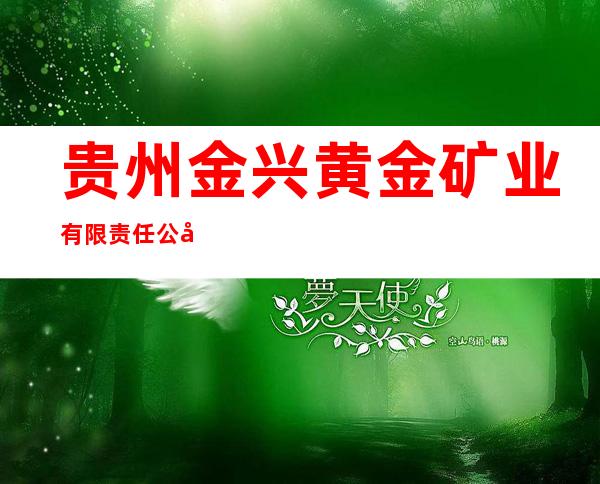 贵州金兴黄金矿业有限责任公司