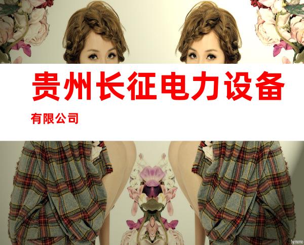 贵州长征电力设备有限公司