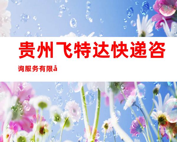 贵州飞特达快递咨询服务有限公司