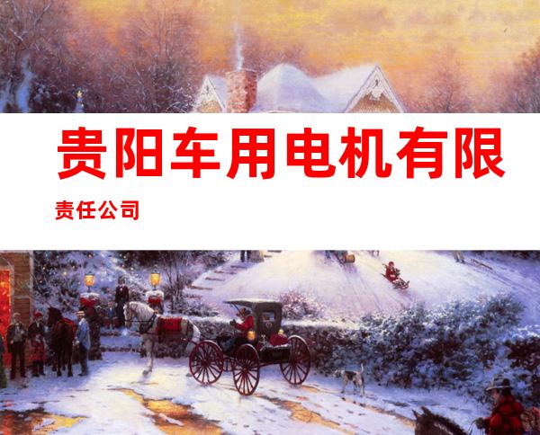 贵阳车用电机有限责任公司