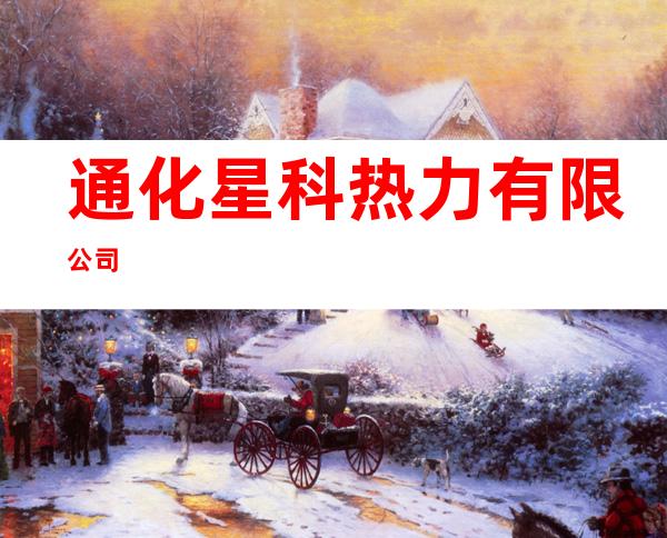 通化星科热力有限公司