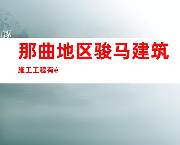 那曲地区骏马建筑施工工程有限公司