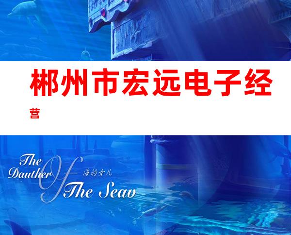 郴州市宏远电子经营