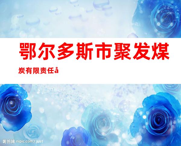 鄂尔多斯市聚发煤炭有限责任公司