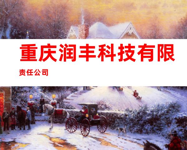 重庆润丰科技有限责任公司