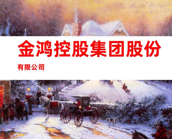 金鸿控股集团股份有限公司