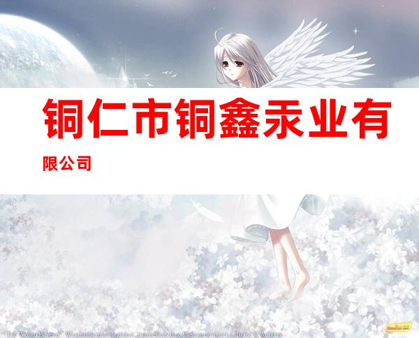 铜仁市铜鑫汞业有限公司