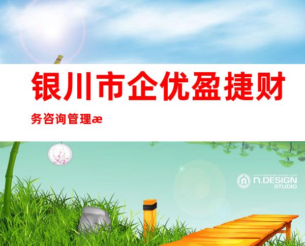 银川市企优盈捷财务咨询管理有限公司