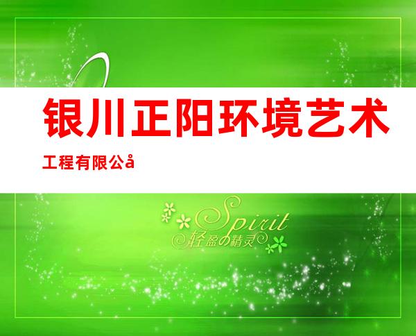 银川正阳环境艺术工程有限公司