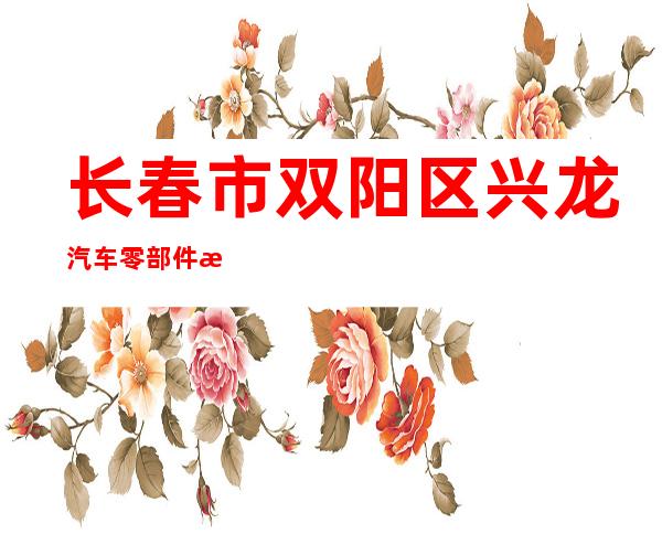 长春市双阳区兴龙汽车零部件有限公司