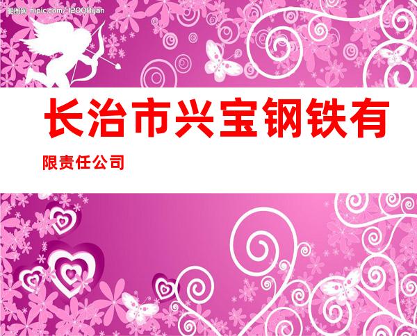 长治市兴宝钢铁有限责任公司