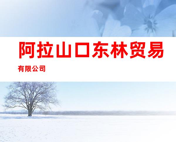 阿拉山口东林贸易有限公司