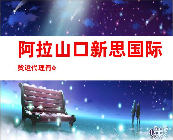 阿拉山口新思国际货运代理有限公司