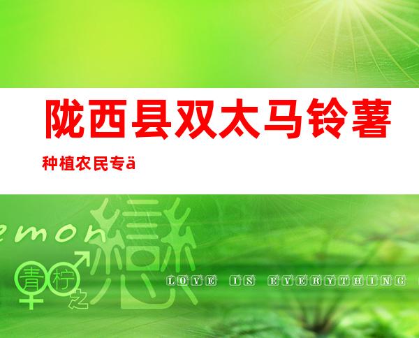 陇西县双太马铃薯种植农民专业合作社