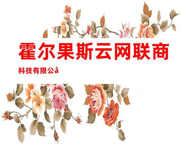 霍尔果斯云网联商科技有限公司