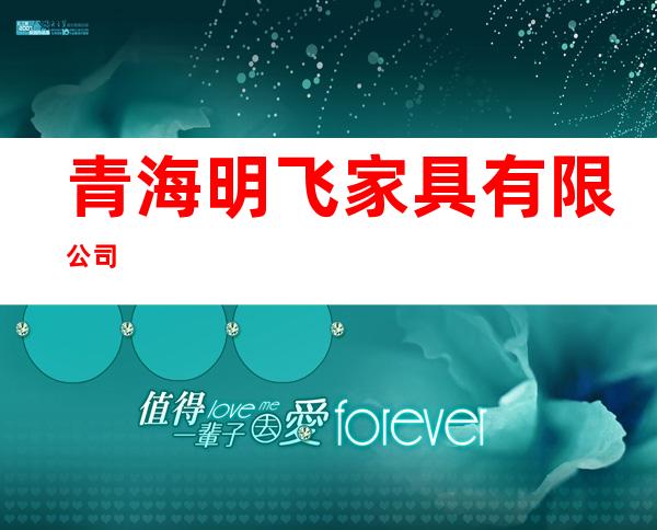 青海明飞家具有限公司