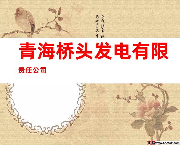 青海桥头发电有限责任公司