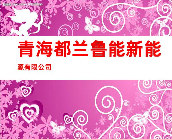青海都兰鲁能新能源有限公司