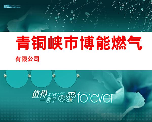 青铜峡市博能燃气有限公司