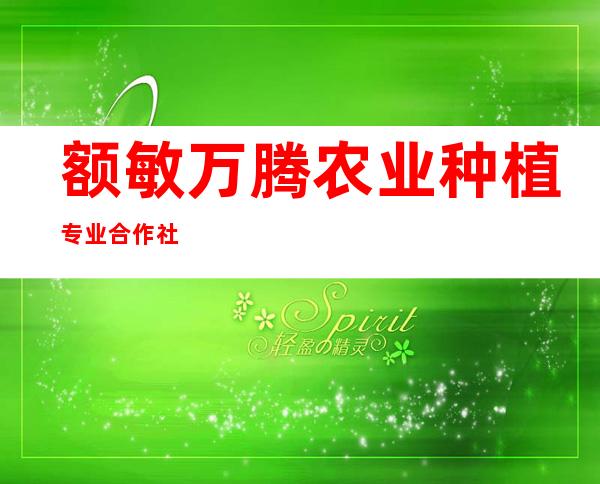 额敏万腾农业种植专业合作社