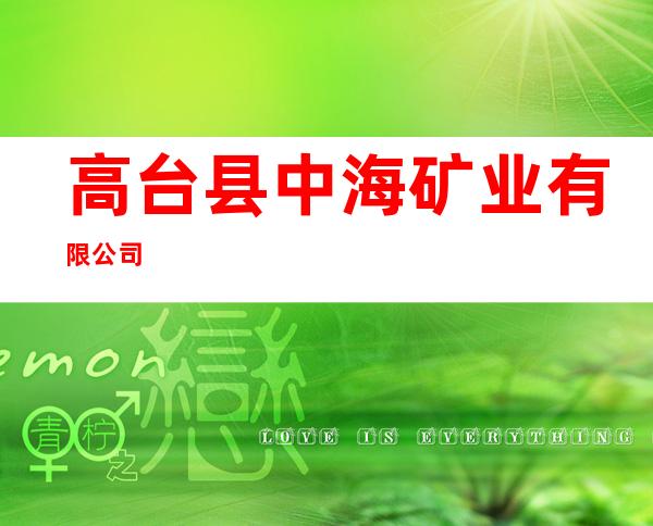 高台县中海矿业有限公司