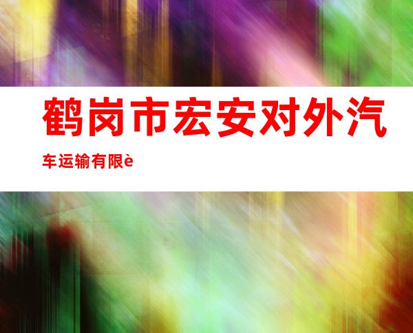 鹤岗市宏安对外汽车运输有限责任公司