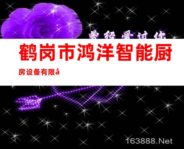 鹤岗市鸿洋智能厨房设备有限公司