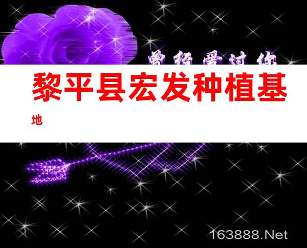 黎平县宏发种植基地