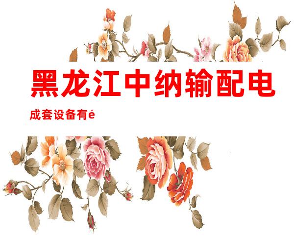 黑龙江中纳输配电成套设备有限公司