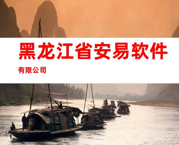 黑龙江省安易软件有限公司