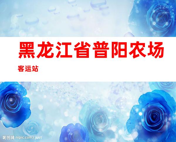 黑龙江省普阳农场客运站