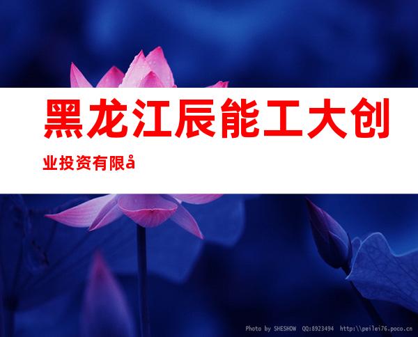 黑龙江辰能工大创业投资有限公司