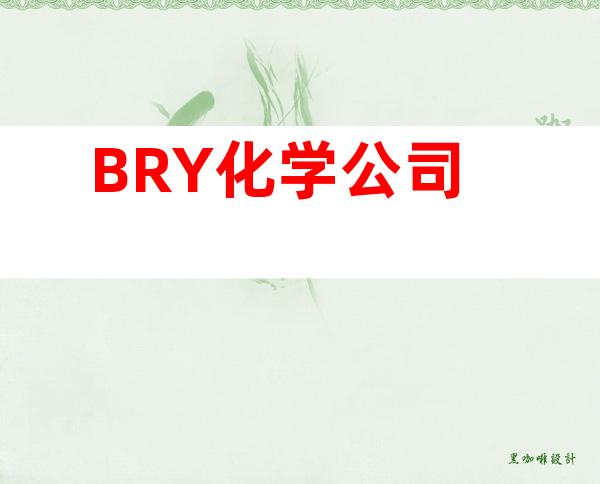 BRY化学公司